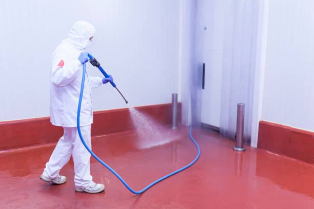 Best Roof Washing  in Harkers Island, NC